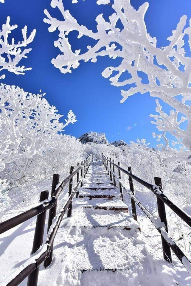 산처럼물처럼 이미지