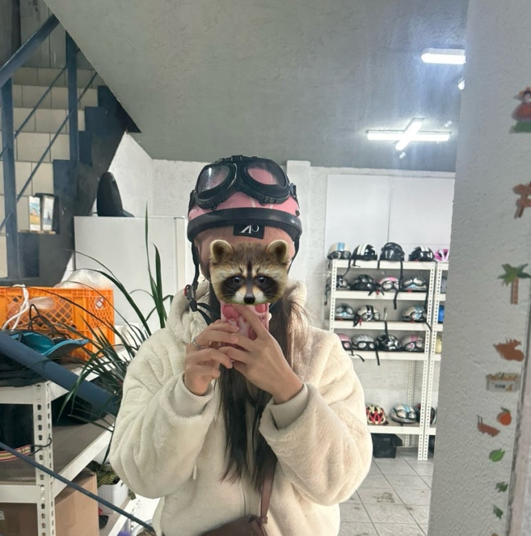 상상하이킹 이미지