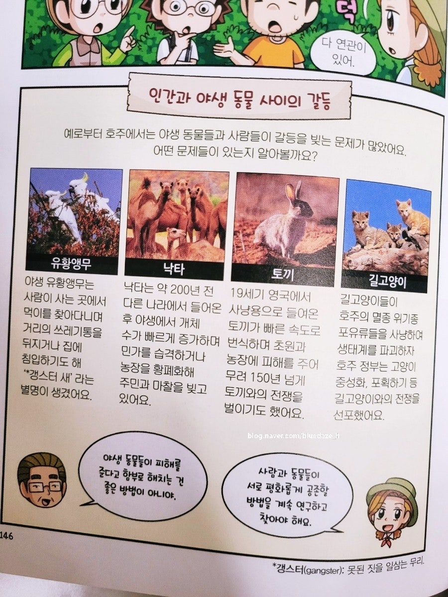 재미지향적관점 이미지