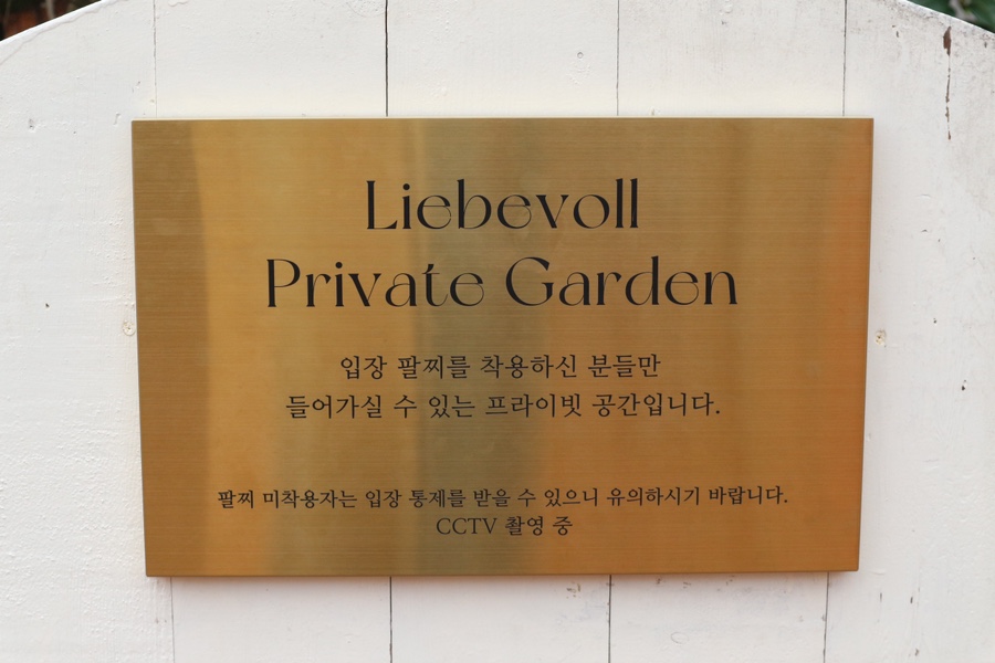 리베볼 이미지
