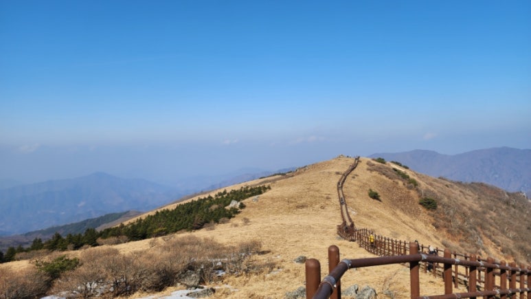 소백산오토캠핑장 이미지