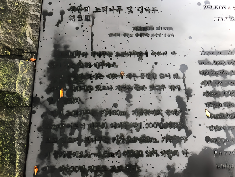 굴무기낭 이미지