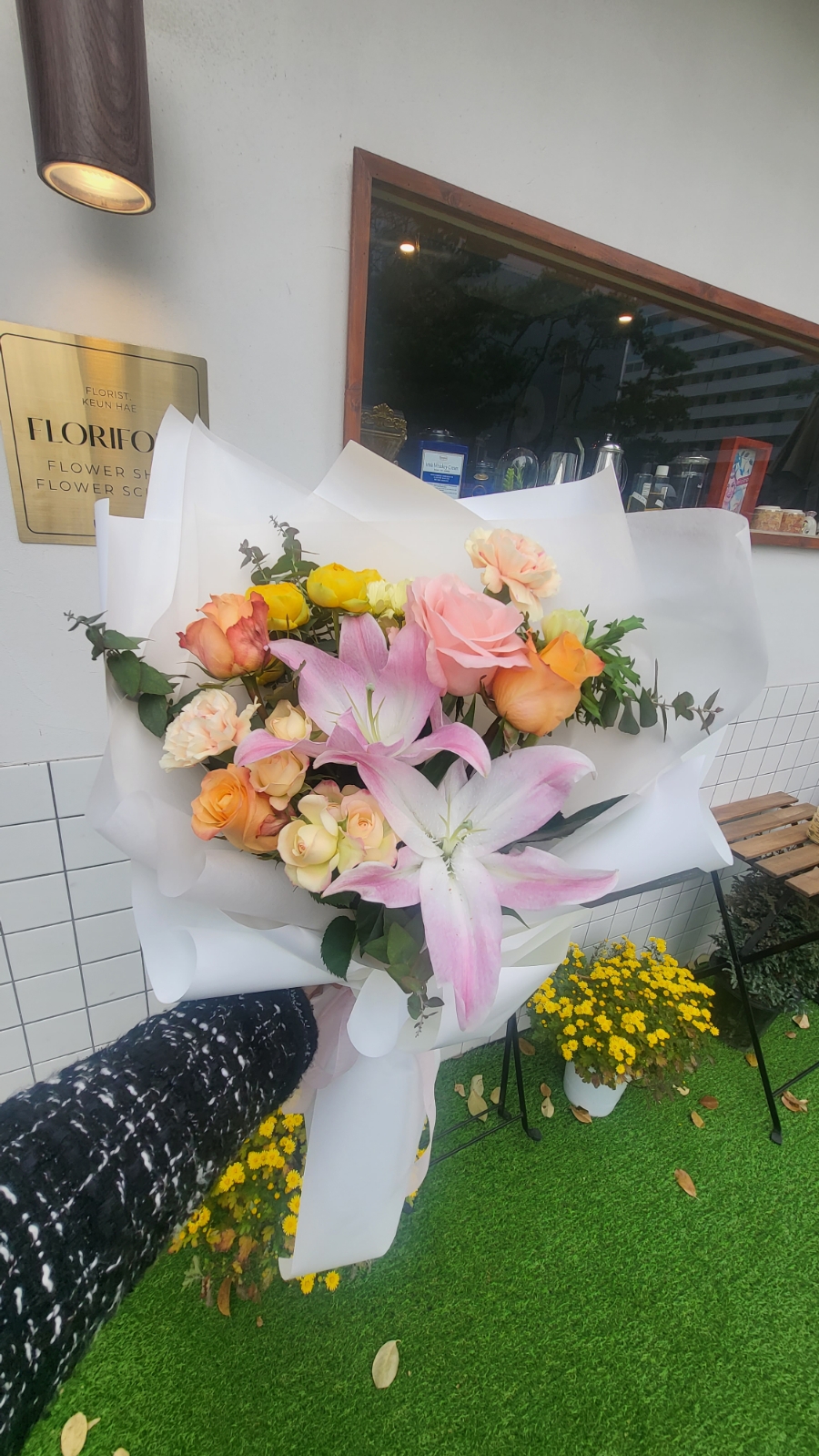 플로리포레 이미지