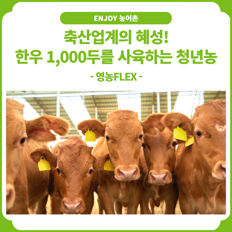 혜성축산 이미지