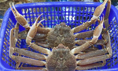 인덕수산 이미지