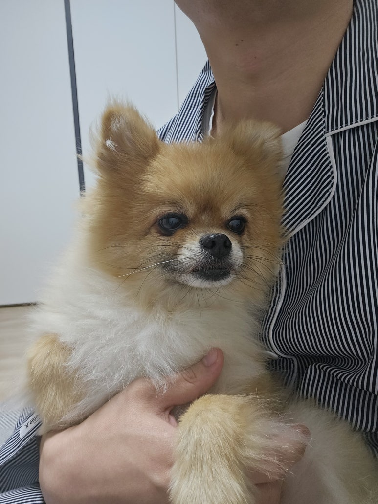 천*호 이미지