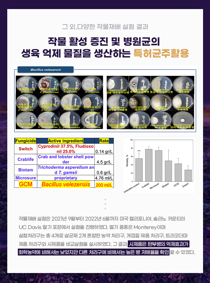 지씨엠 이미지
