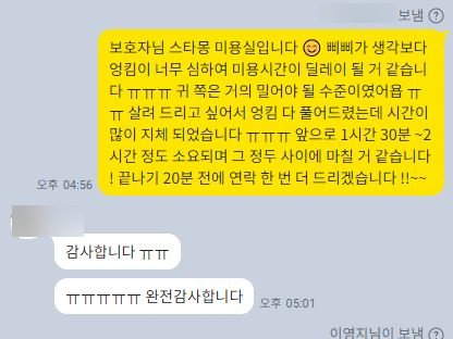 강남 애견미용 스타몽: 비숑 스파 & 가위컷 후기 — 사진 13