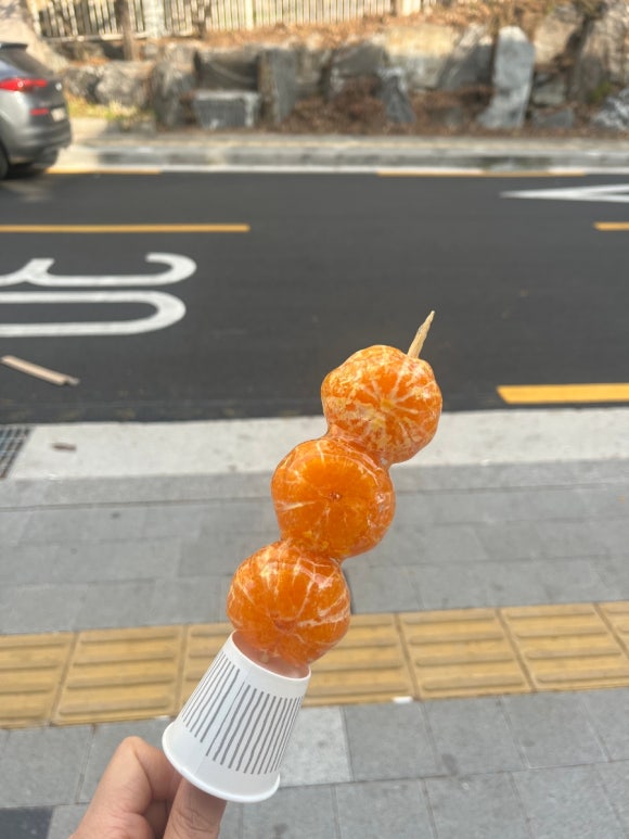과일에미를담다 이미지