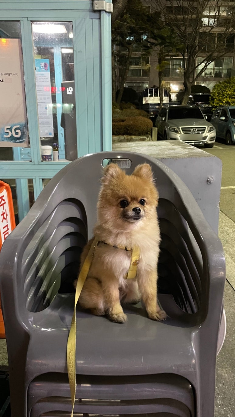 천*호 이미지