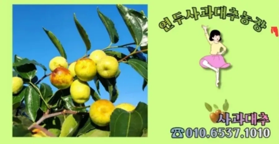 농부의작업대 이미지