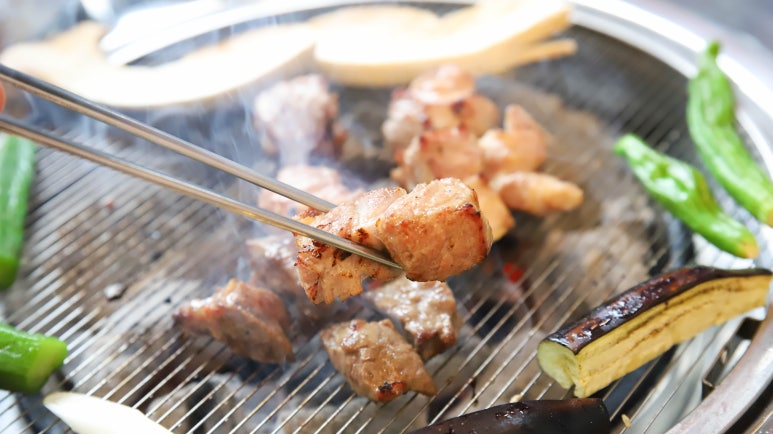 빽고기 이미지