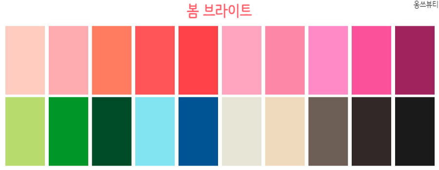 브라이트헤어 이미지