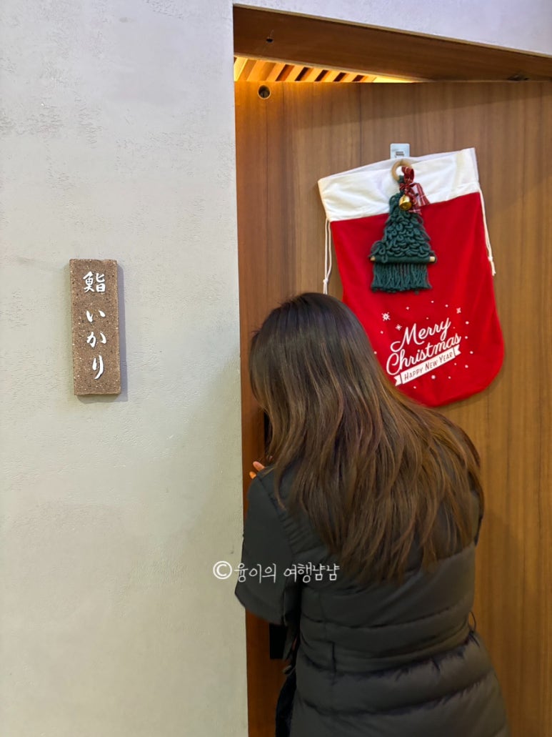스시이카리 이미지