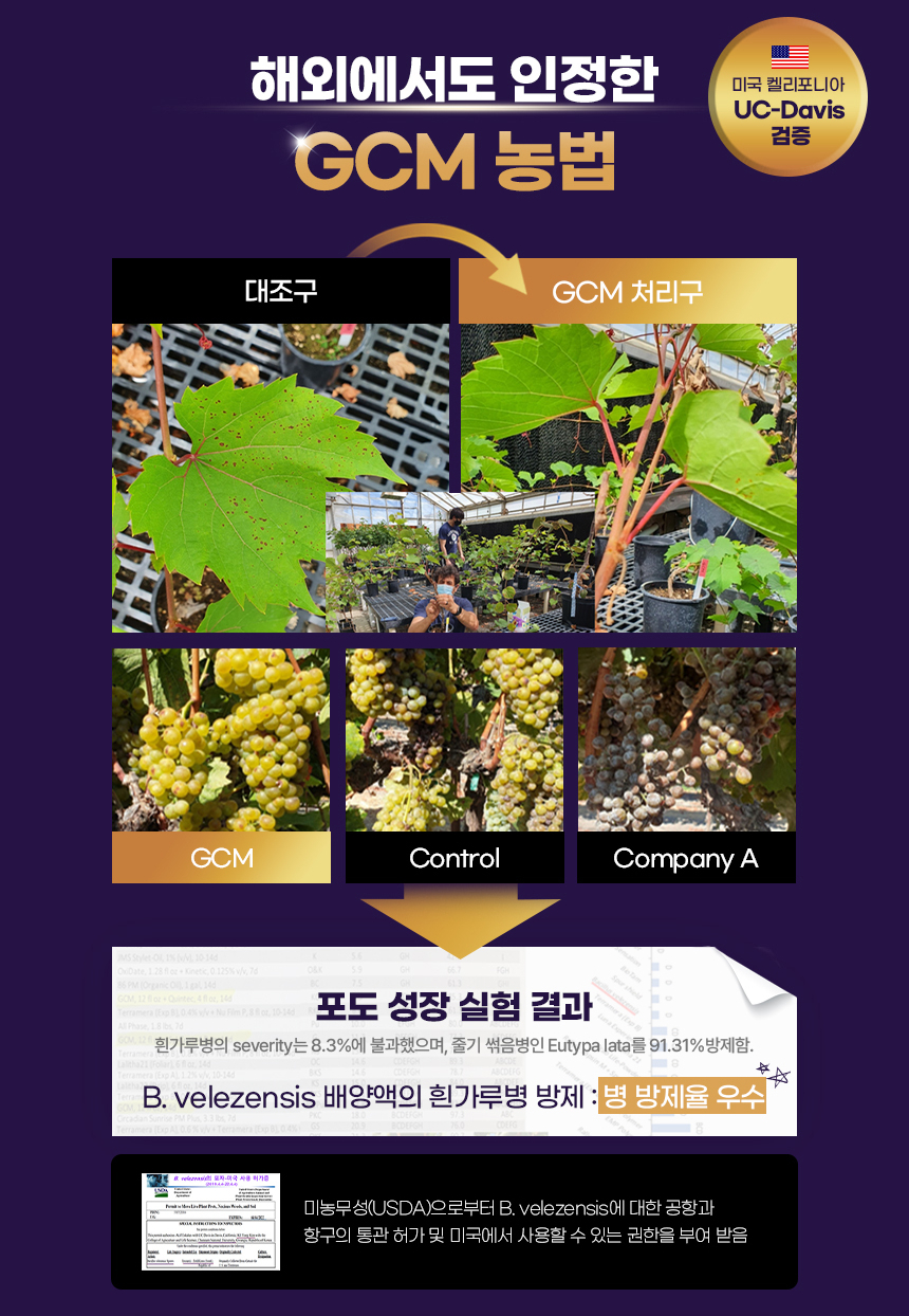 지씨엠 이미지