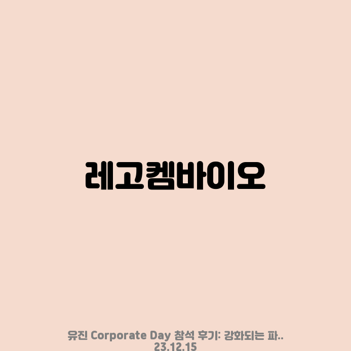 대성아이티 이미지