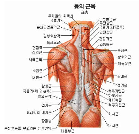 엔비스킨 분당정자점 이미지