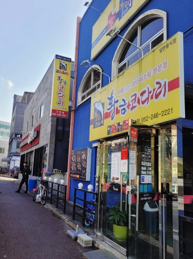 황금코다리 구영점 이미지