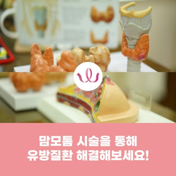 유미안외과 이미지