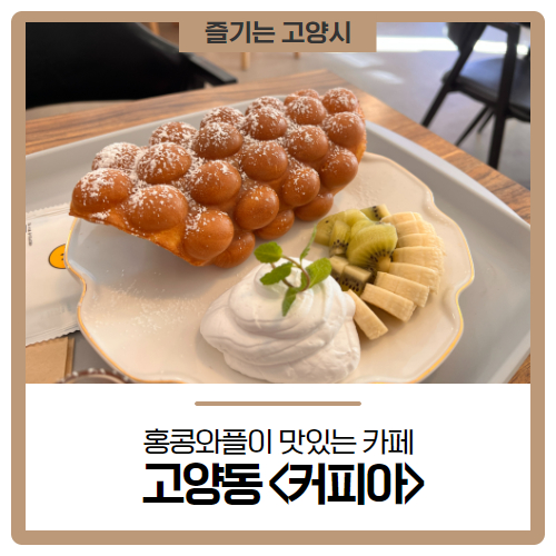 커피아 이미지