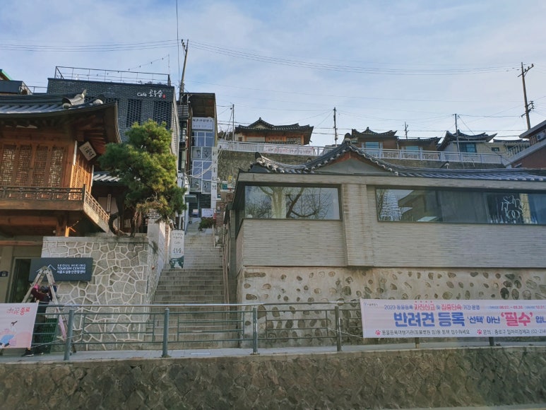 요거앤라떼 사진 8