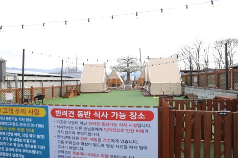 사회적협동조합반려동물 이미지