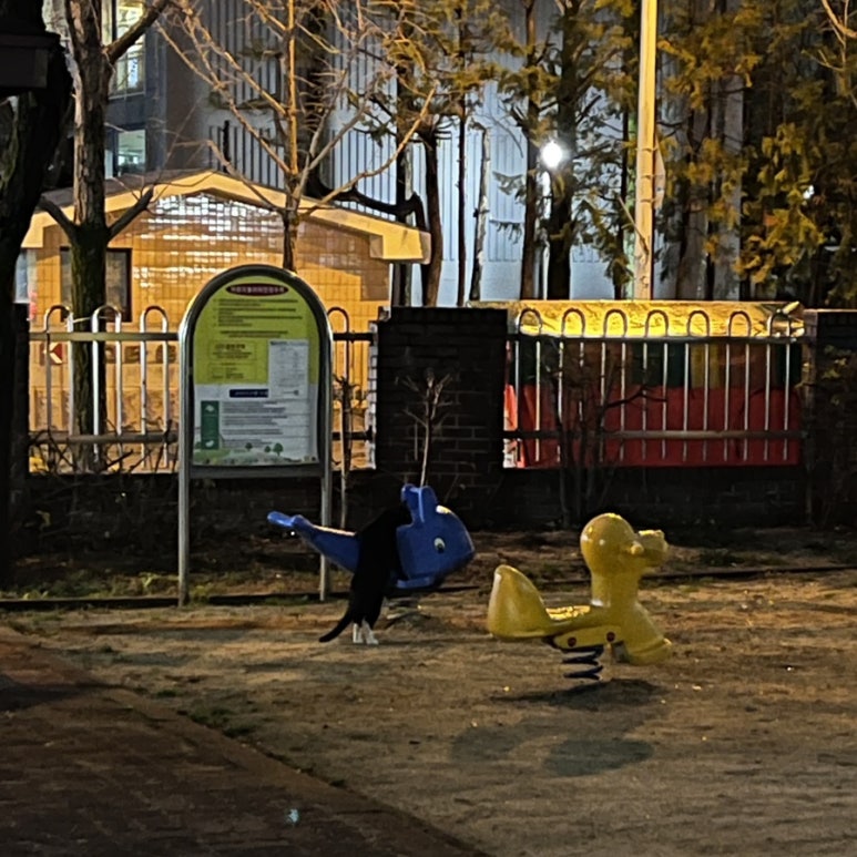얌마과일 이미지