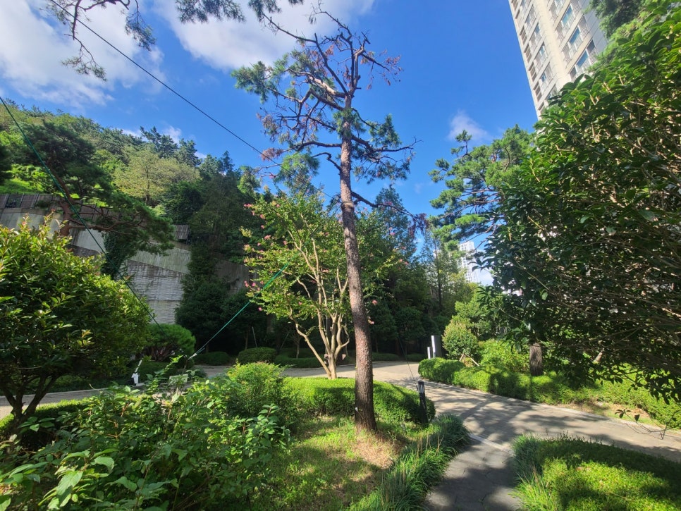 (주)푸른숲조경 이미지
