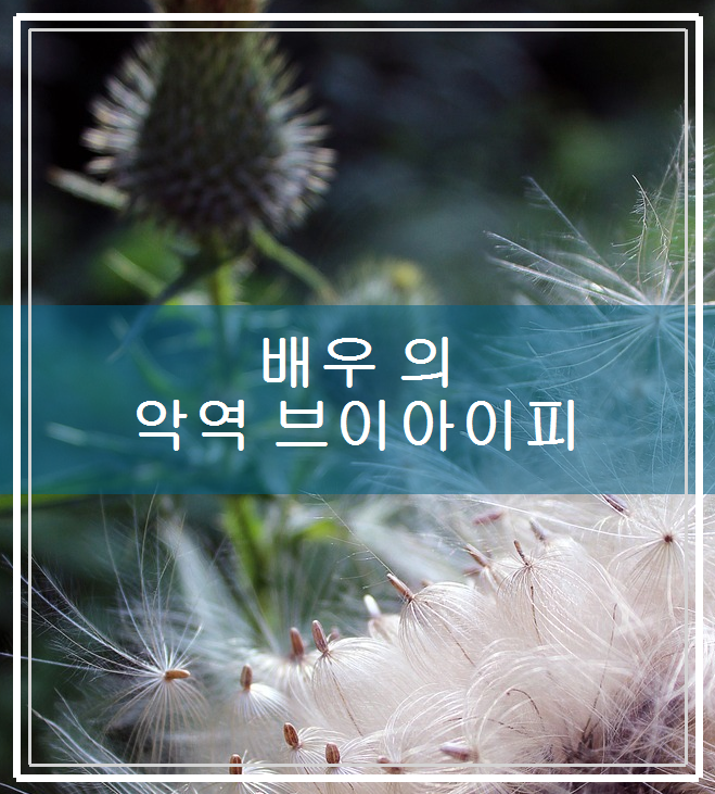 탑브이아이피 이미지