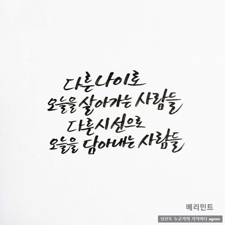 오늘을담다 이미지