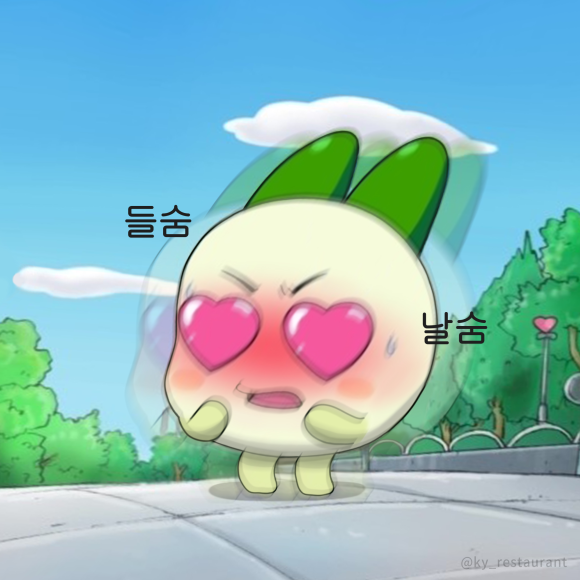 바이슬 이미지