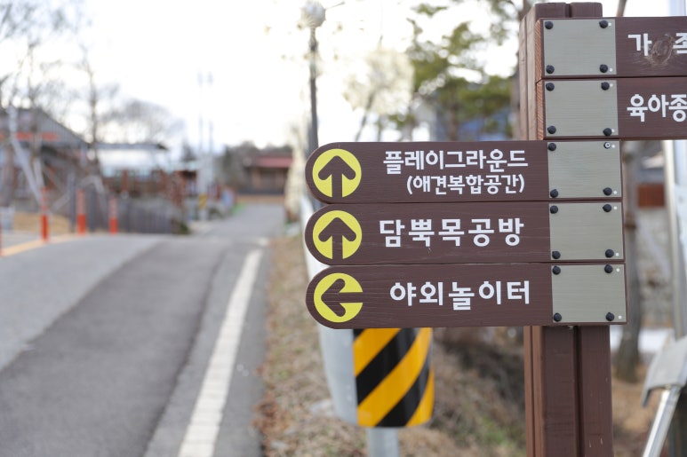 사회적협동조합반려동물 이미지