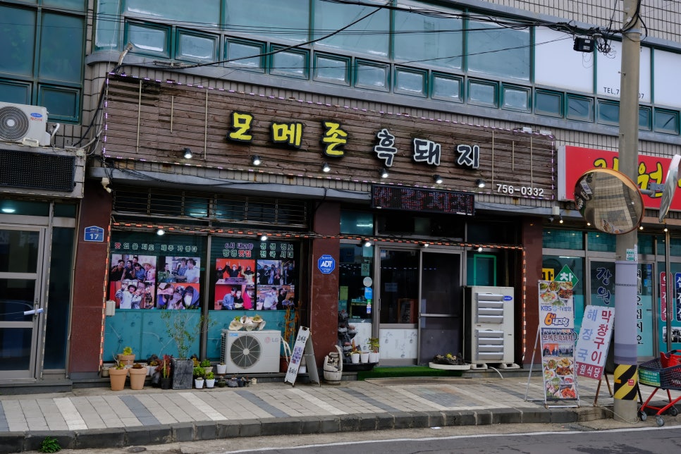 구좌유기농 이미지