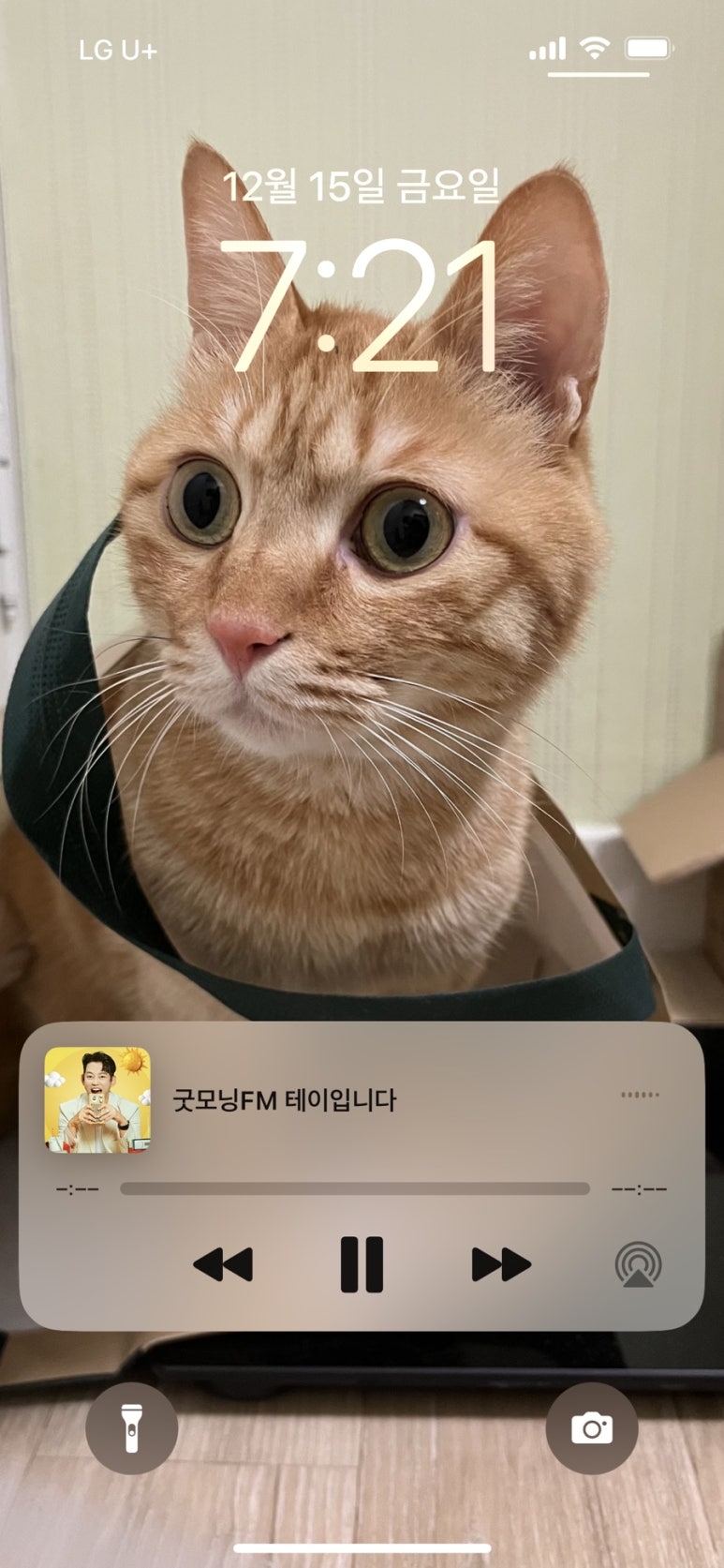 통키치킨 이미지