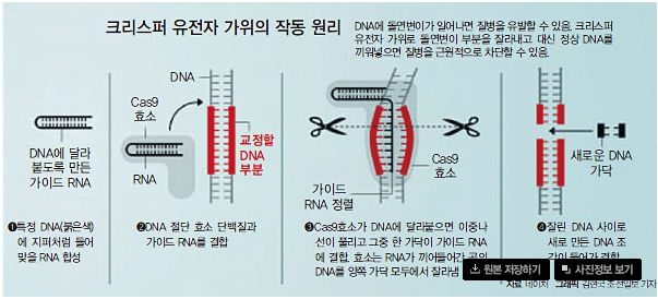 글로진 이미지