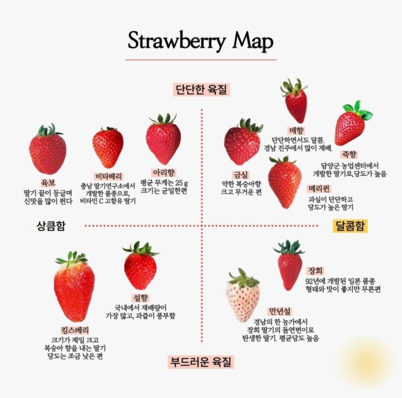 밀양밀면맛집 이미지