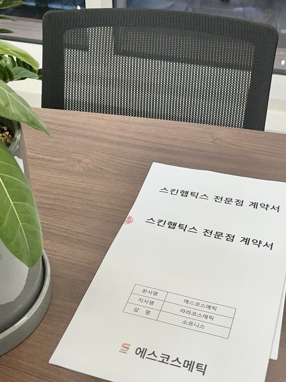 소프니스 이미지
