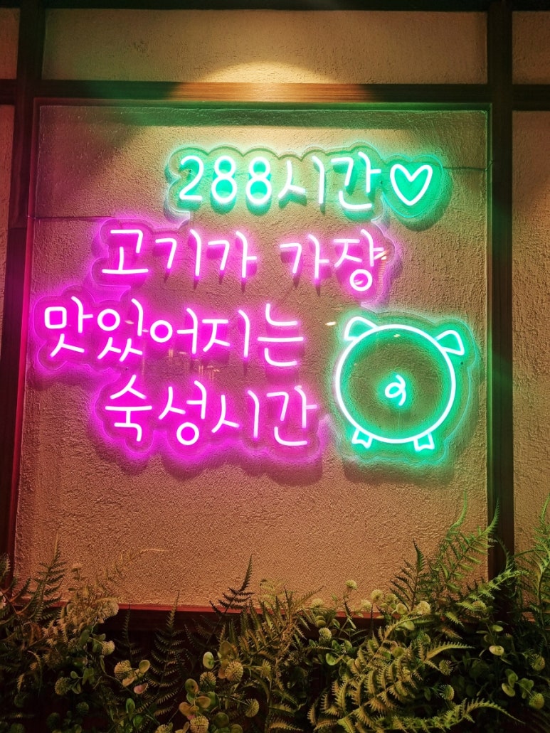 두툼돈288 이미지