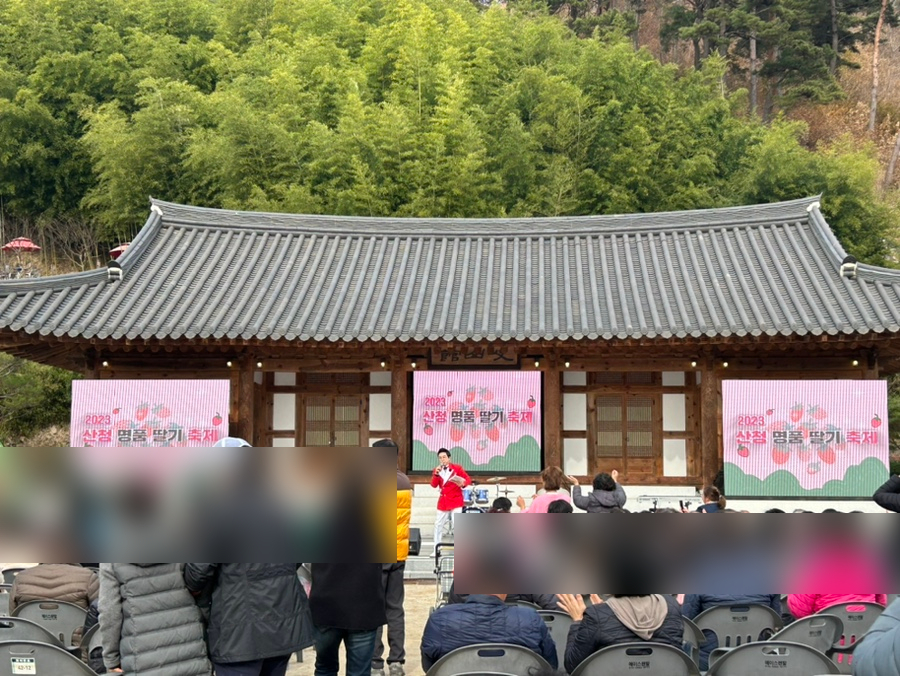 딸기노래짱 이미지