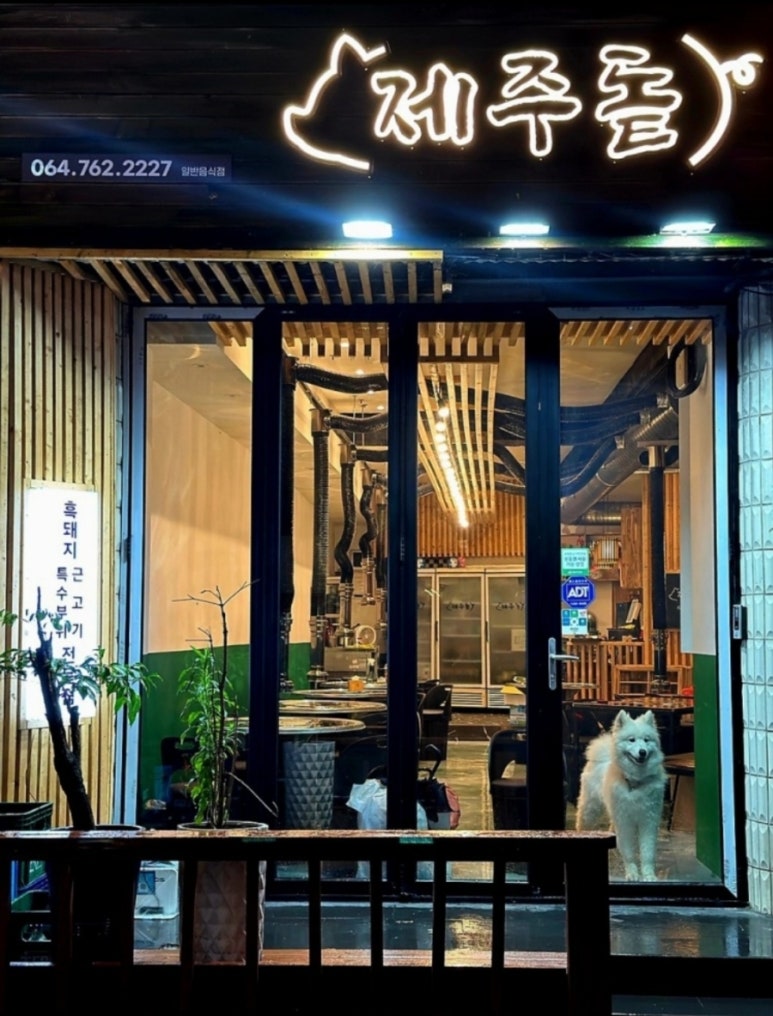 제주돝 이미지