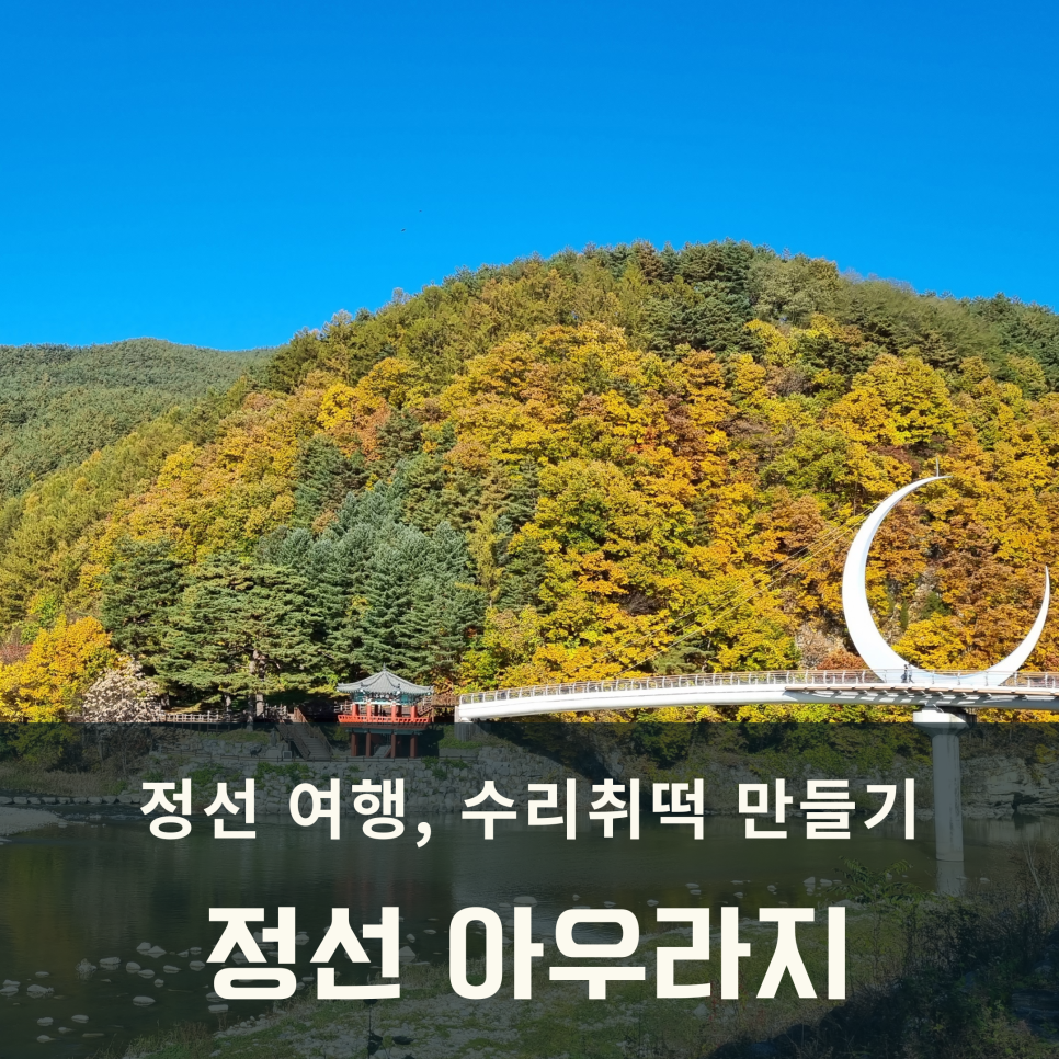 아우라지수리취떡 이미지