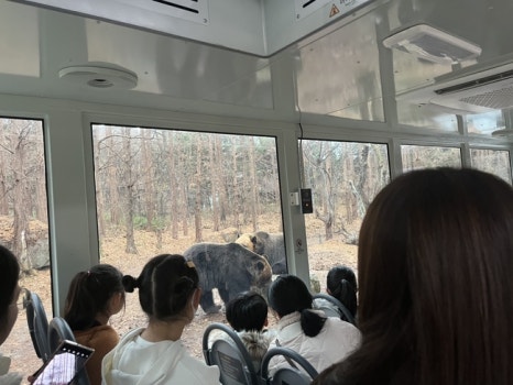 난다판다 이미지
