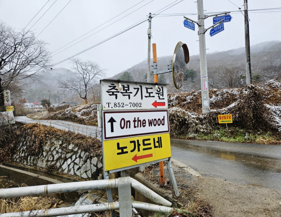 노가드네 이미지