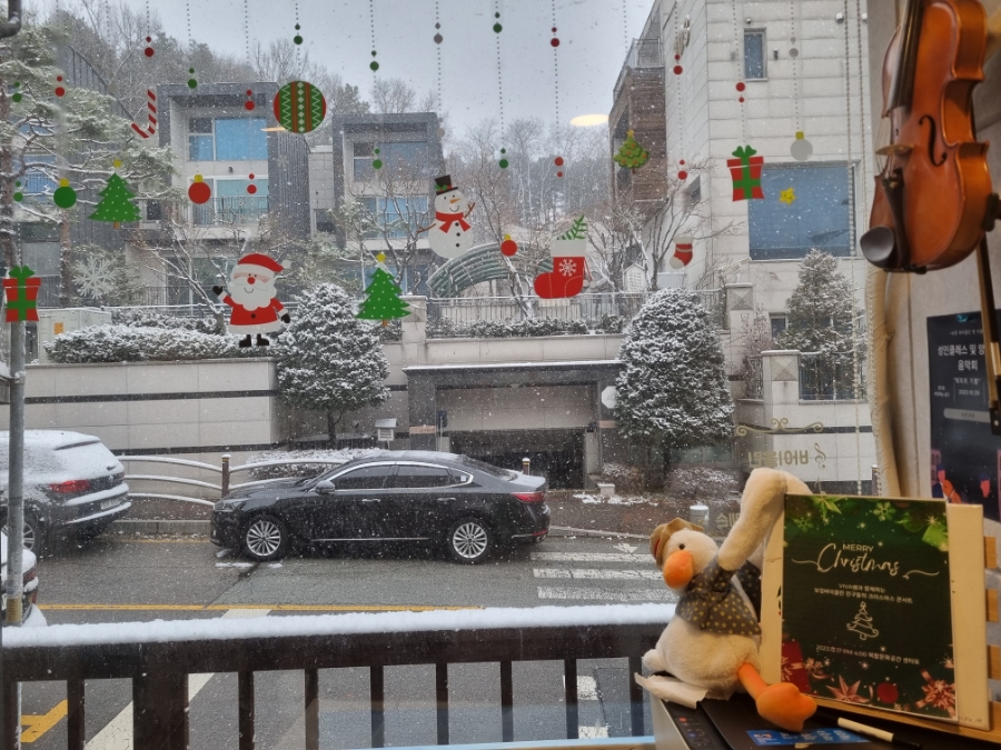 센티토 이미지