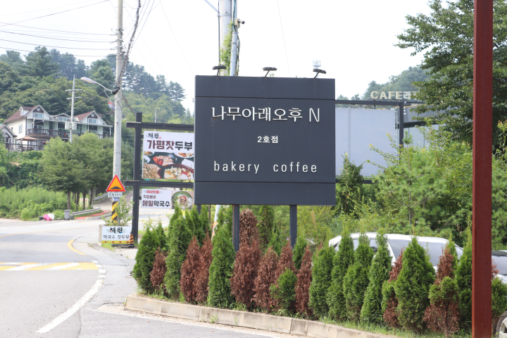 빵나무아래 이미지