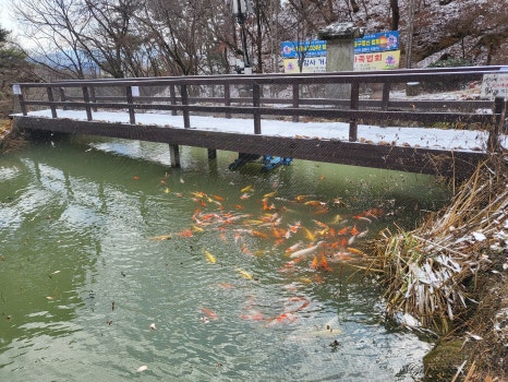 사.코 이미지