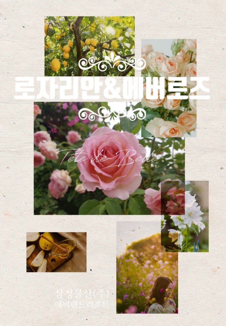 삼성물산(주) 에버랜드리조트 이미지
