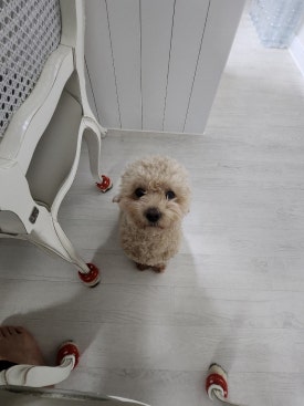 상동석유 이미지
