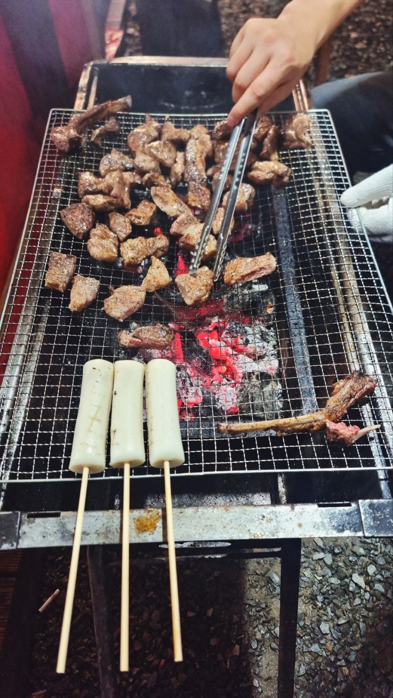 돌고래풀하우스 이미지