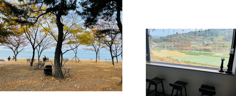 더풀 이미지